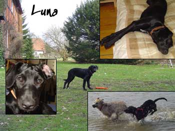 Luna